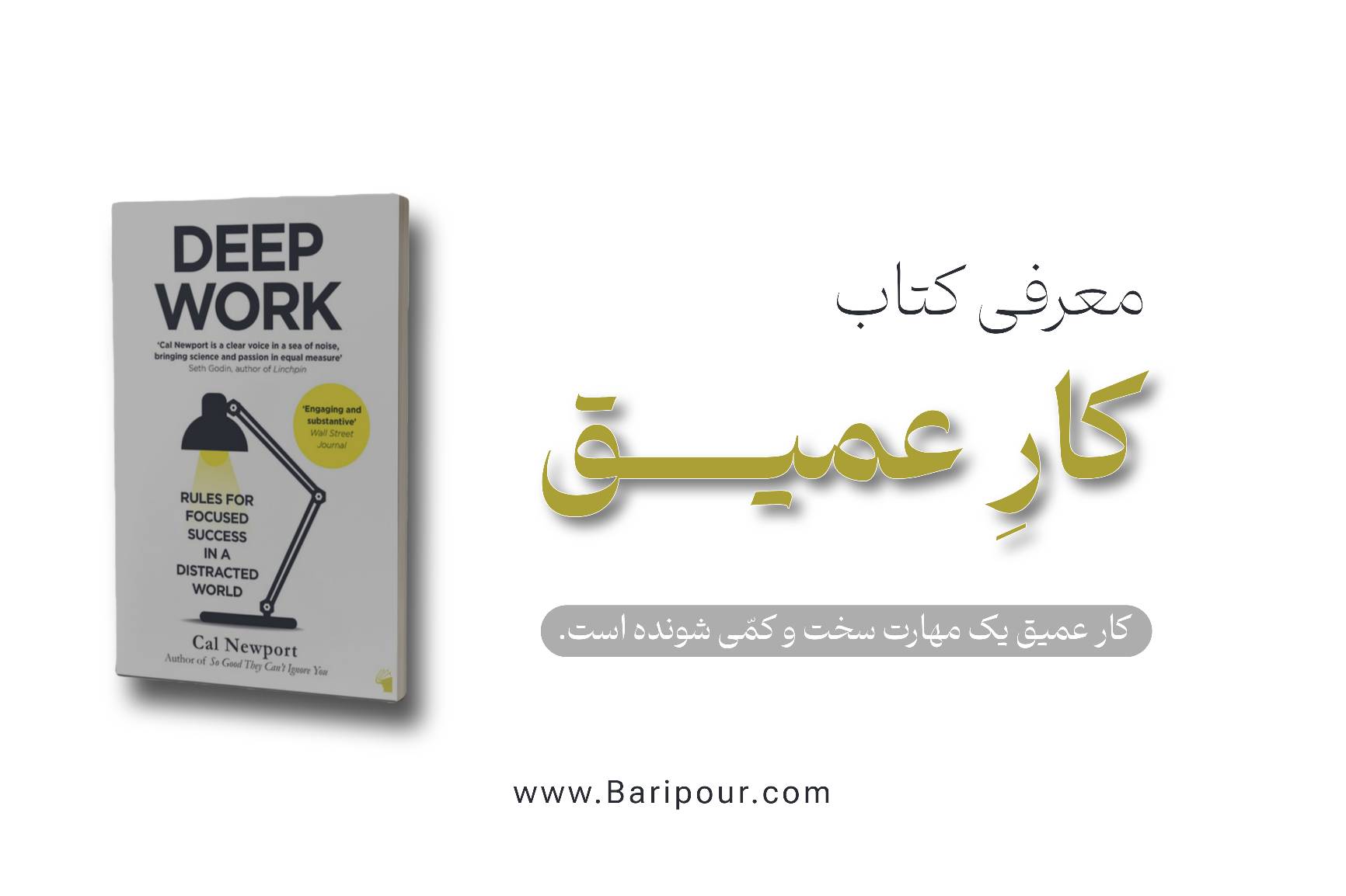 خلاصه کتاب کار عمیق - deep work به گونه‌ای طراحی شده که تمام اصول، استراتژی‌ها و راهکارهای عملی کتاب را پوشش دهد تا شما بتوانید بلافاصله آن‌ها را در زندگی شخصی و ساختار کسب‌وکار خود پیاده‌سازی کنید.